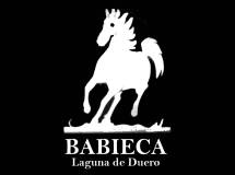 BAR BABIECA